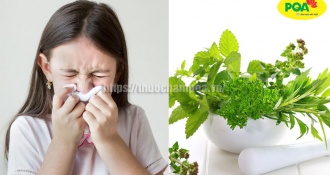 Top 5+ Bài thuốc trị viêm xoang trẻ em lành tính theo dân gian